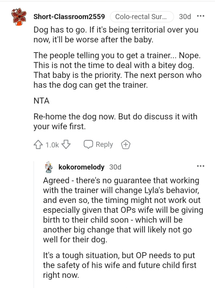 This is not the time to deal with a bitey dog.