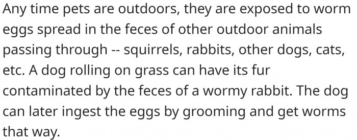 Anytime the pets are outside...