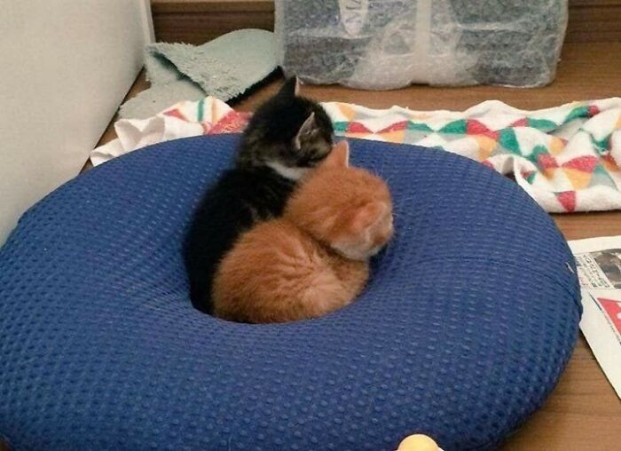 13. They're so small!