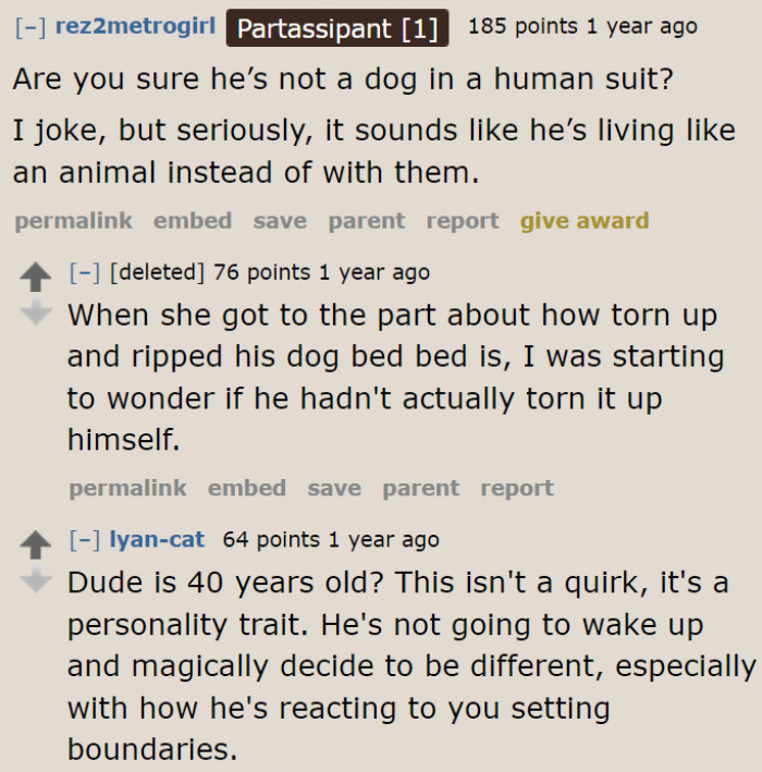 The boyfriend = Dog in human's suit