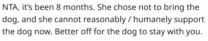 11. His ex cannot care for a dog she abandoned for a long time.