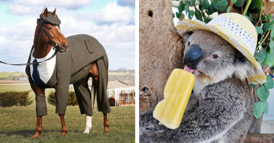 Heartwarming Moments Of Animals In Human Outfits