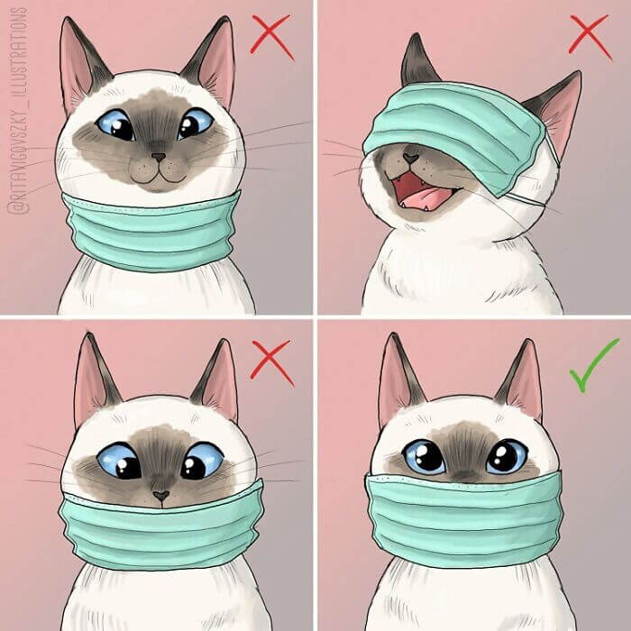 38. It looks like the cat is enjoying the masking experience