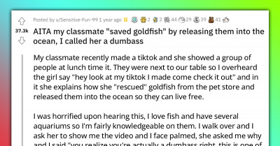 Redditor Gets Termed A Bully For Rudely Correcting Classmate Who "Saves Goldfish" By Releasing Them Into The Ocean