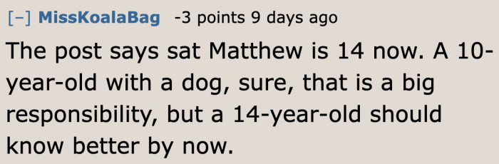 A Redditor believes that now that his son is a teenager, he should be able to care for it properly.