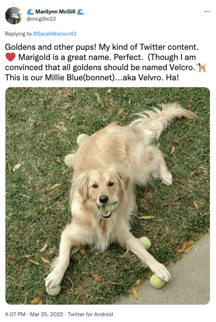 19. Velvro is so beautiful!