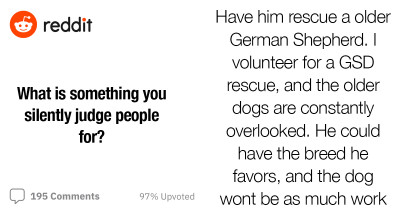 Redditors Offer Thoughtful Advice To Man Whose Aged Father Wants To Adopt Another Dog