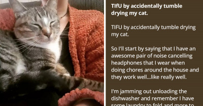 Redditor Shares Story Of How He Accidentally Tumble Dried His Cat But His Other Cat Came To The Rescue