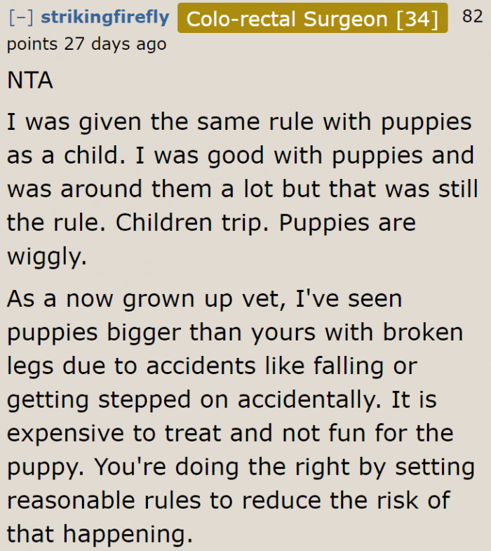 It's a fact that children trip. That's why they can't be allowed to carry dogs around.