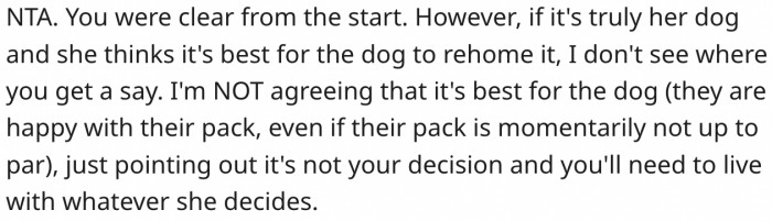 He hasn't done anything wrong because he made it clear from the onset that he doesn't want a dog.