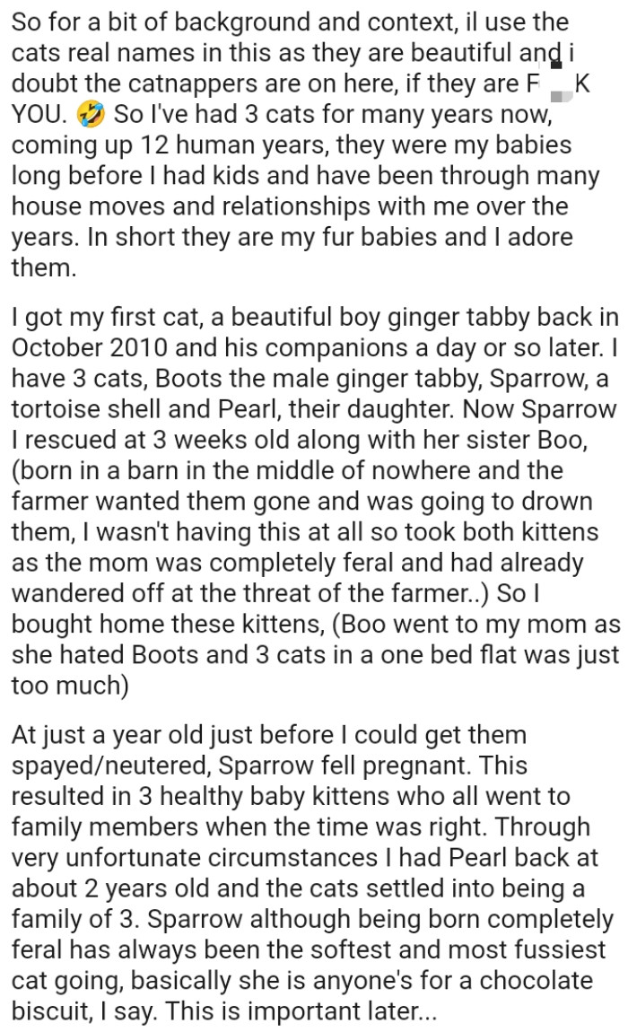 Born in a barn in the middle of nowhere, the farmer wanted them gone