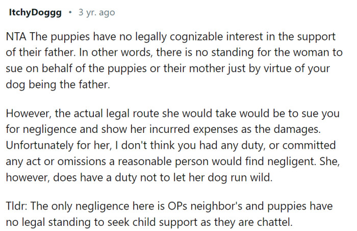 This Reddit user scrutinized the issue more closely, examining it from a legal perspective.