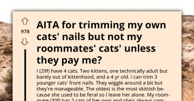 Roommate Demands Free Help Trimming Her Cats’ Nails After Admitting She’s Too Afraid
