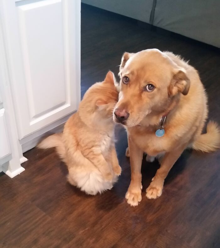 "I Haven't Found What They Broke Yet"