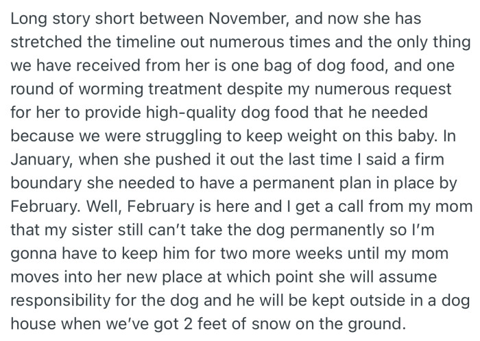 Over the next few months, OP’s sister renegaded on their agreement several times. This went on till OP finally set a firm boundary with an ultimatum