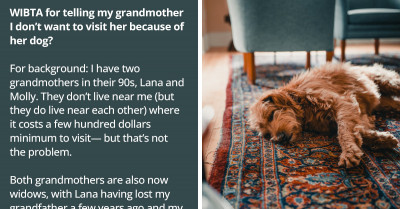 Redditor Intends To Tell The Grandmother They'll Stop Visiting Because Of Her Yapping Dog