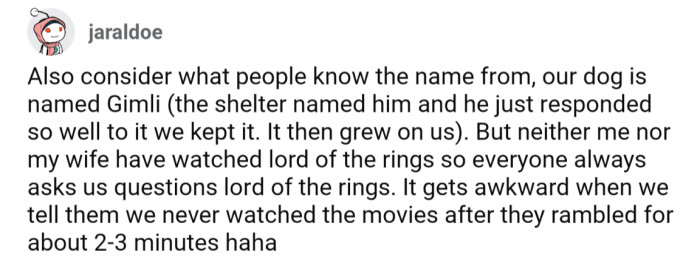 31. Unintentional Lord of the Rings fans