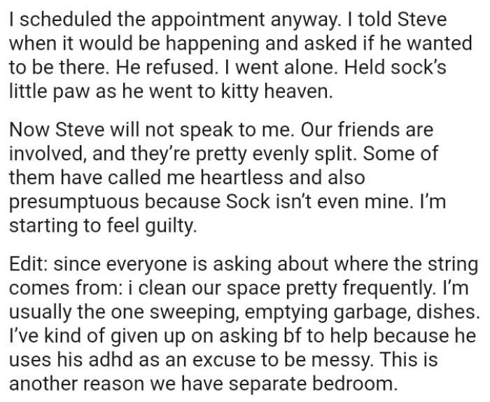 Some of them have called the OP heartless and also presumptuous because the cat isn’t even mine