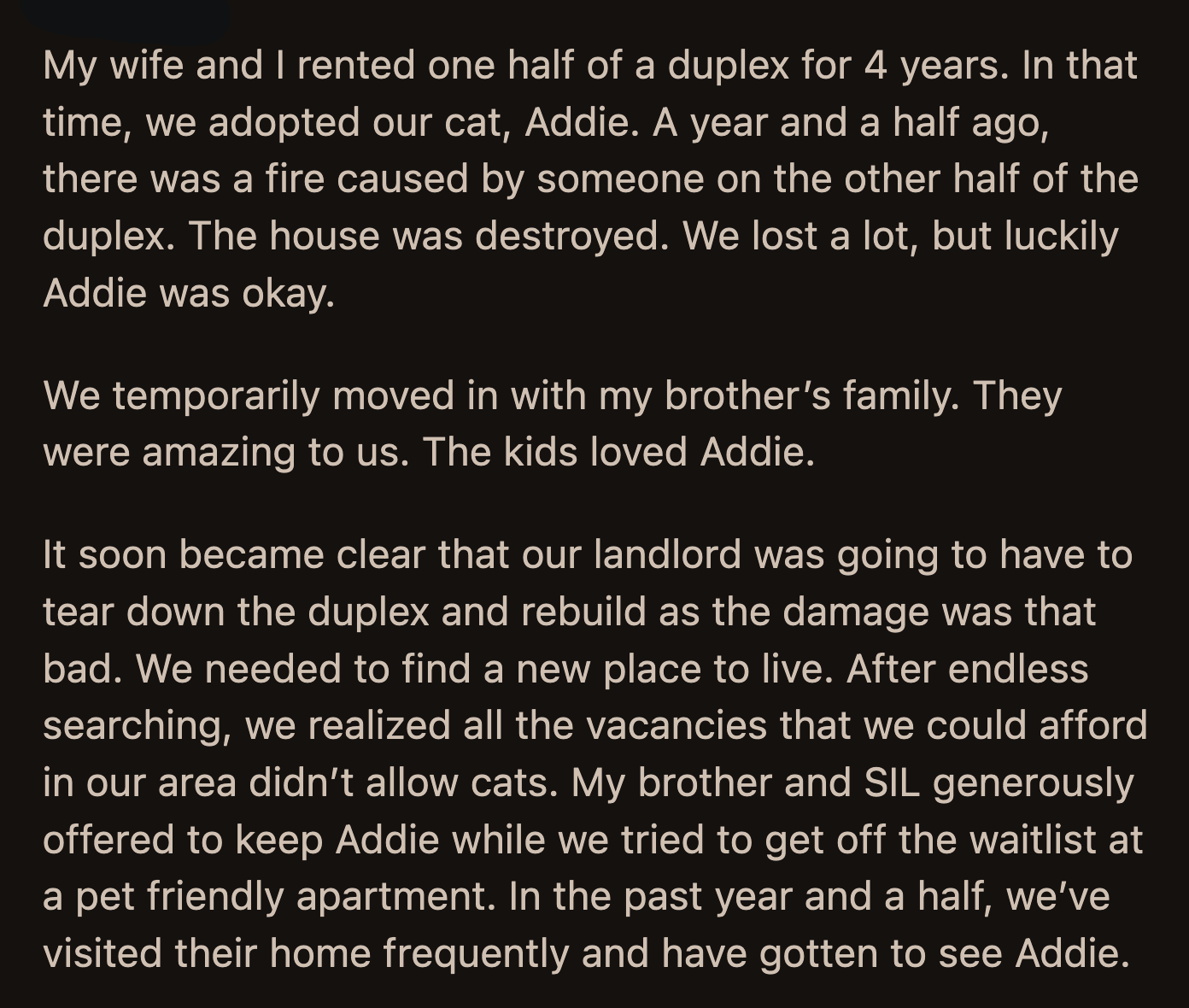 As OP anticipated, his brother and his wife asked if they could keep Addie. They reasoned their family had grown attached to the cat.