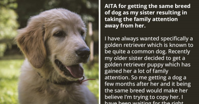 Redditor Asks If They Are An A-Hole For Getting The Same Dog Breed As Their Sister's Pet