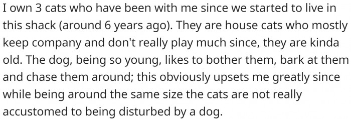 OP owns three old, calm cats, and the puppy wants to play with them.
