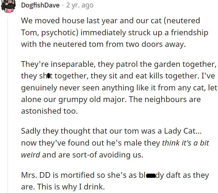 This user watched their male cat form an inseparable relationship with another male