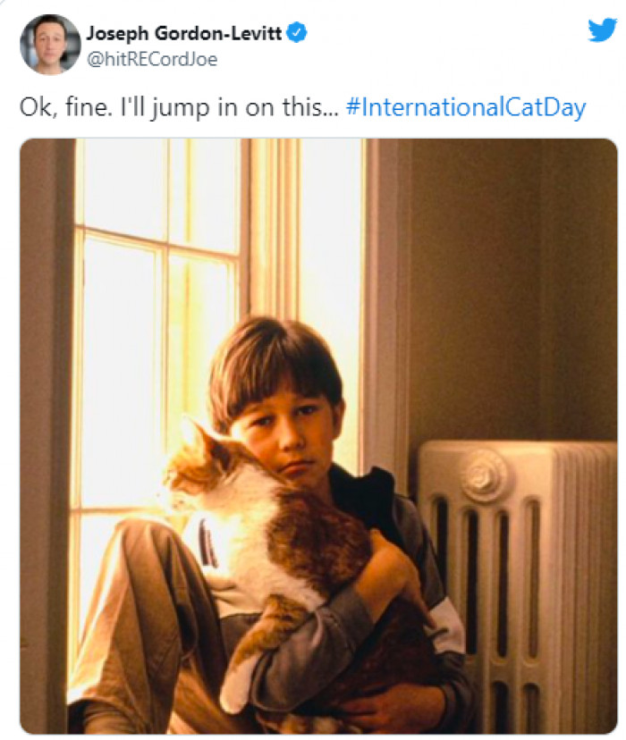2. Joseph Gordon-Levitt shared a #TBT of himself and a kitten: