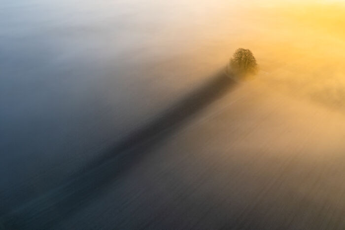 “A Long Shadow” By Christopher Harrison