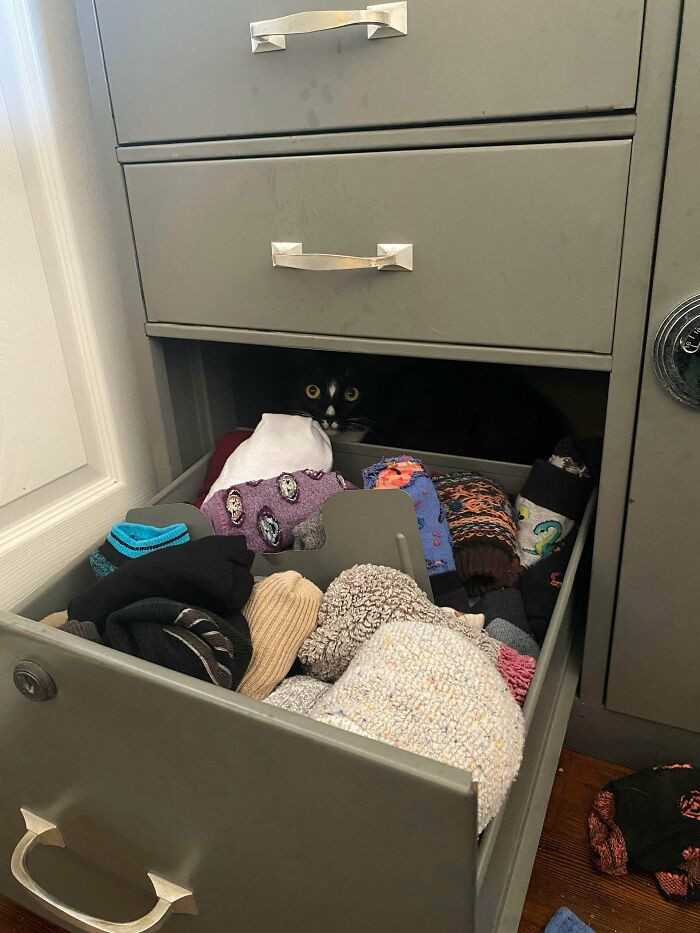 38. I’m Deciding What Socks To Wear Today