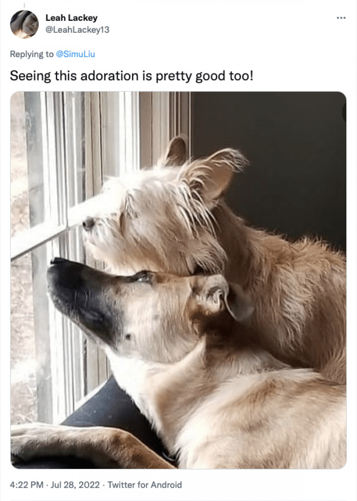 9. This is what true love looks like.