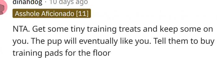 Training pads for the floor.