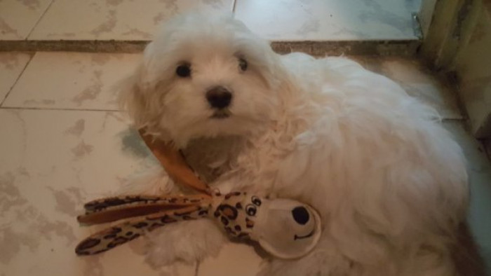 9. Treats make you a God