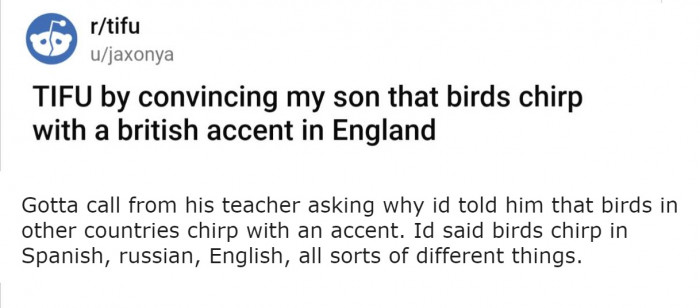 It all started with a call home from OP son's teacher about him being told that birds have different accents