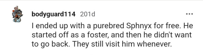 From a Redditor who ended up with a purebred Sphynx for free