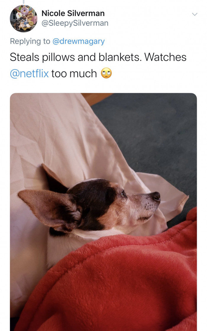 #9 Just cancel your Netflix premium subscription.