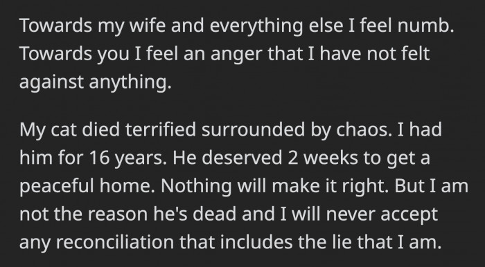 The comment angered OP because what happened to his cat shouldn't have happened if his wife had the patience to wait for two weeks. OP said he will not let himself be convinced that he is somehow at fault for his cat's unfortunate death.