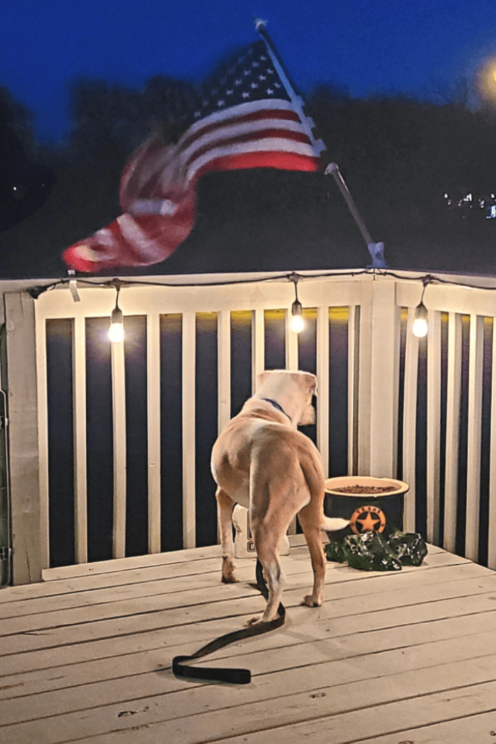 Naturally, Steve eventually introduced Private to his sons, who had made him promise to get a dog in the first place. Slowly but surely, the skittish dog adjusted to them as well.