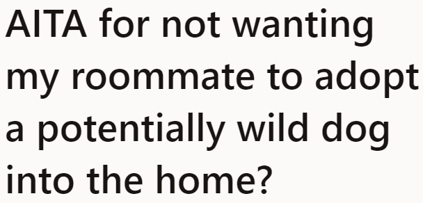 The OP Asks the Online Community