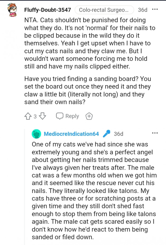 The male cat was a few months old when the OP got him