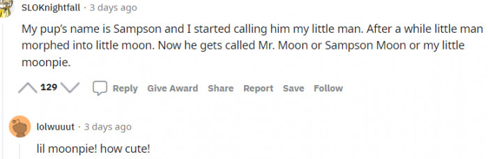 3. This dog's original name is Sampson, and now he's a little man