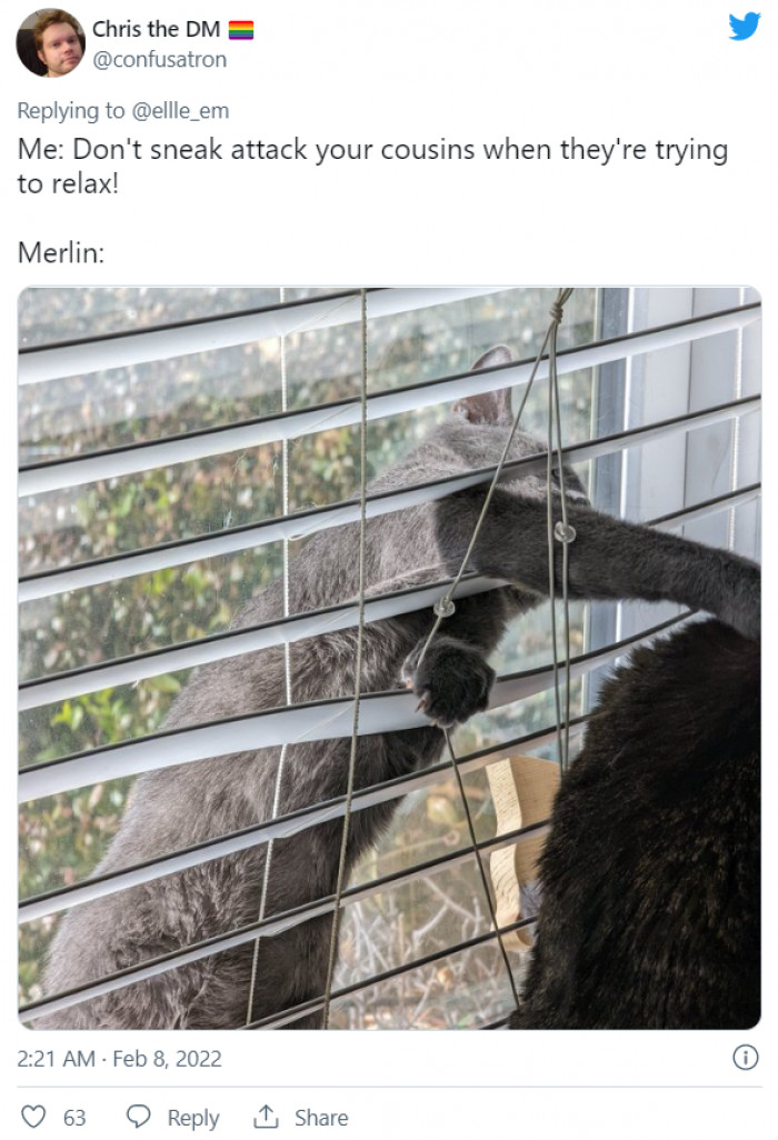 12. Everything is the opposite for them—every stop is a go, and every no is a yes.