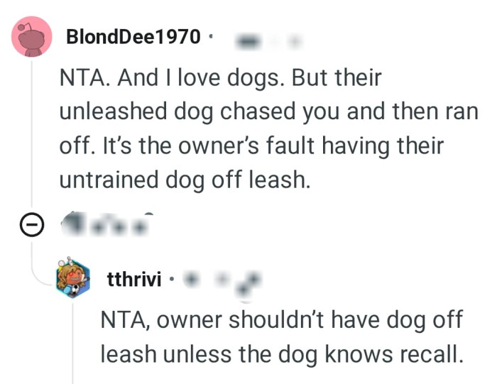 It's the owner's fault for letting their dog off leash