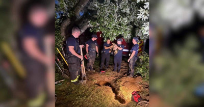 Dachshund Pulled From Underground Maze After 5 Hour Backyard Rescue in Lexington
