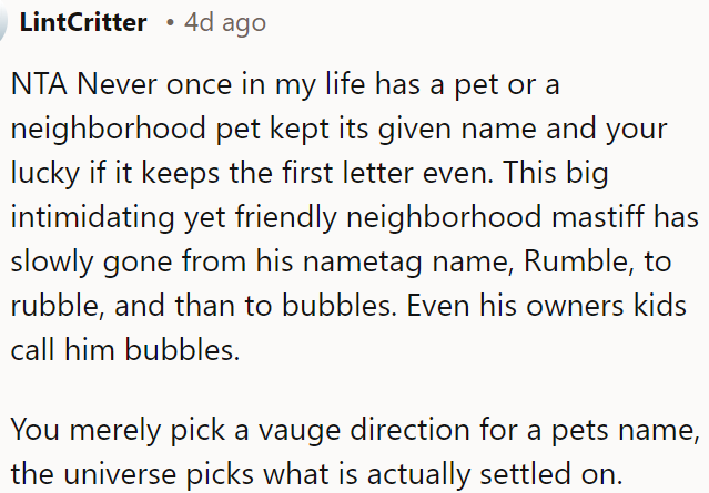 Pets rarely keep their given names, often ending up with playful variations chosen by their environment.