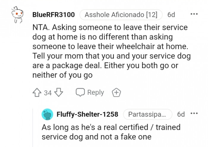 You and your dog are a package deal