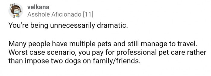 Worst case, they can pay for boarding or a professional pet sitter