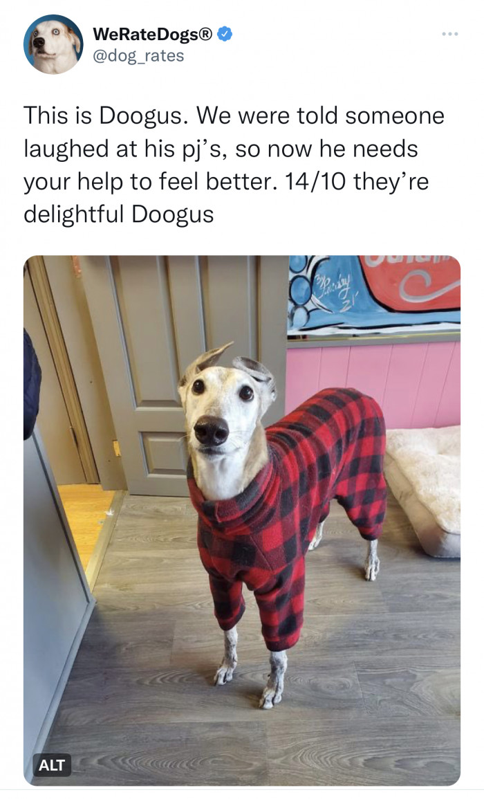 13. You look very handsome in your pajamas, Doogus.