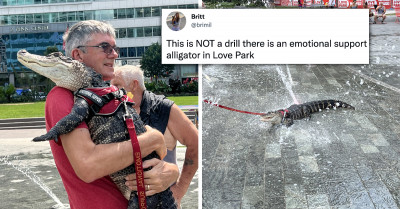Emotional Support Alligator Makes Unexpected Appearance At Love Park