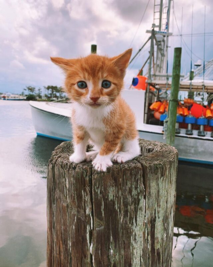 But loves the beach more