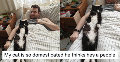 8 Funny Animal Tweets To Kick The Boredom Out Of Your Week